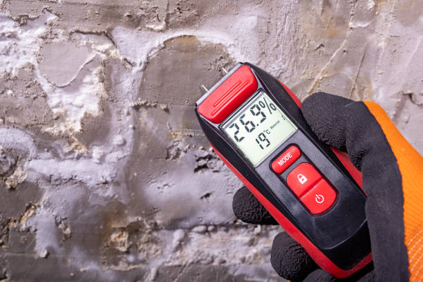 Best Mold Remediation  in Hometown, IL